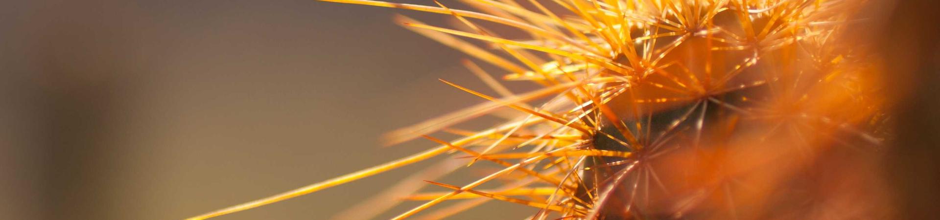  &middot; 绵阳分公司